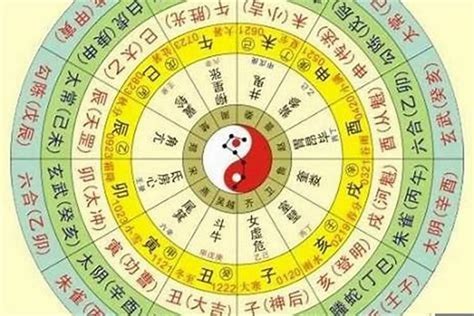 五行分數意思|八字五行分析详解